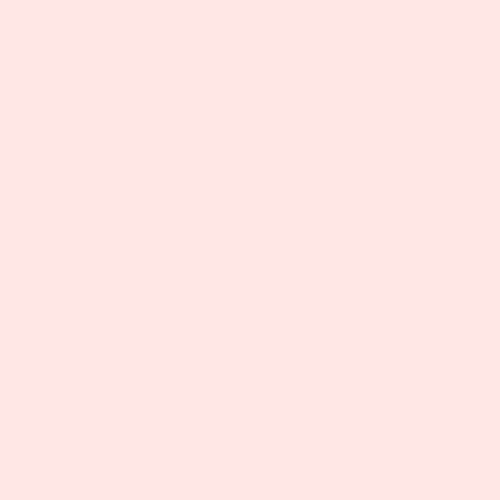Tula Pink Solid 2021 - Peachfuzz