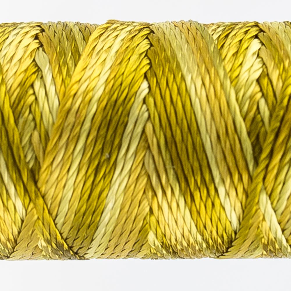 Sue Spargo's Variegated  Razzle Thread - 100% Rayon Thread - RZM10 - Sticky Toffee